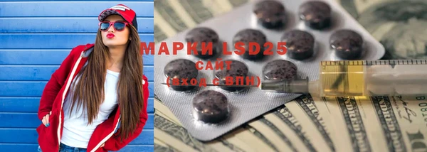 ГАЛЛЮЦИНОГЕННЫЕ ГРИБЫ Баксан
