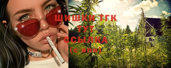 ГАЛЛЮЦИНОГЕННЫЕ ГРИБЫ Баксан