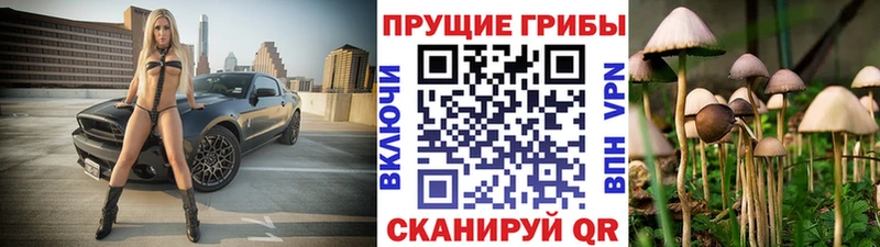 Галлюциногенные грибы Psilocybe Первоуральск